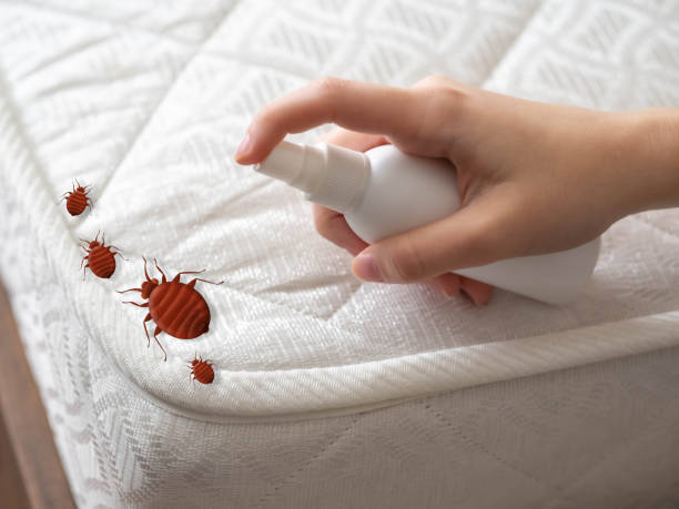 Best Residential Pest Control  in Middlebush, NJ